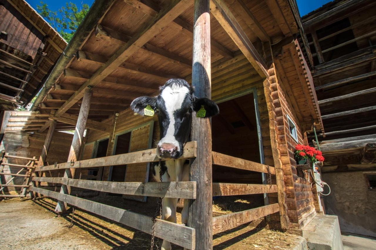 Agriturismo Maso Runch Badia  Ngoại thất bức ảnh